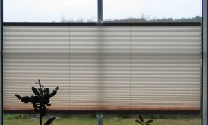 Plissee | Petra´s Testparcour